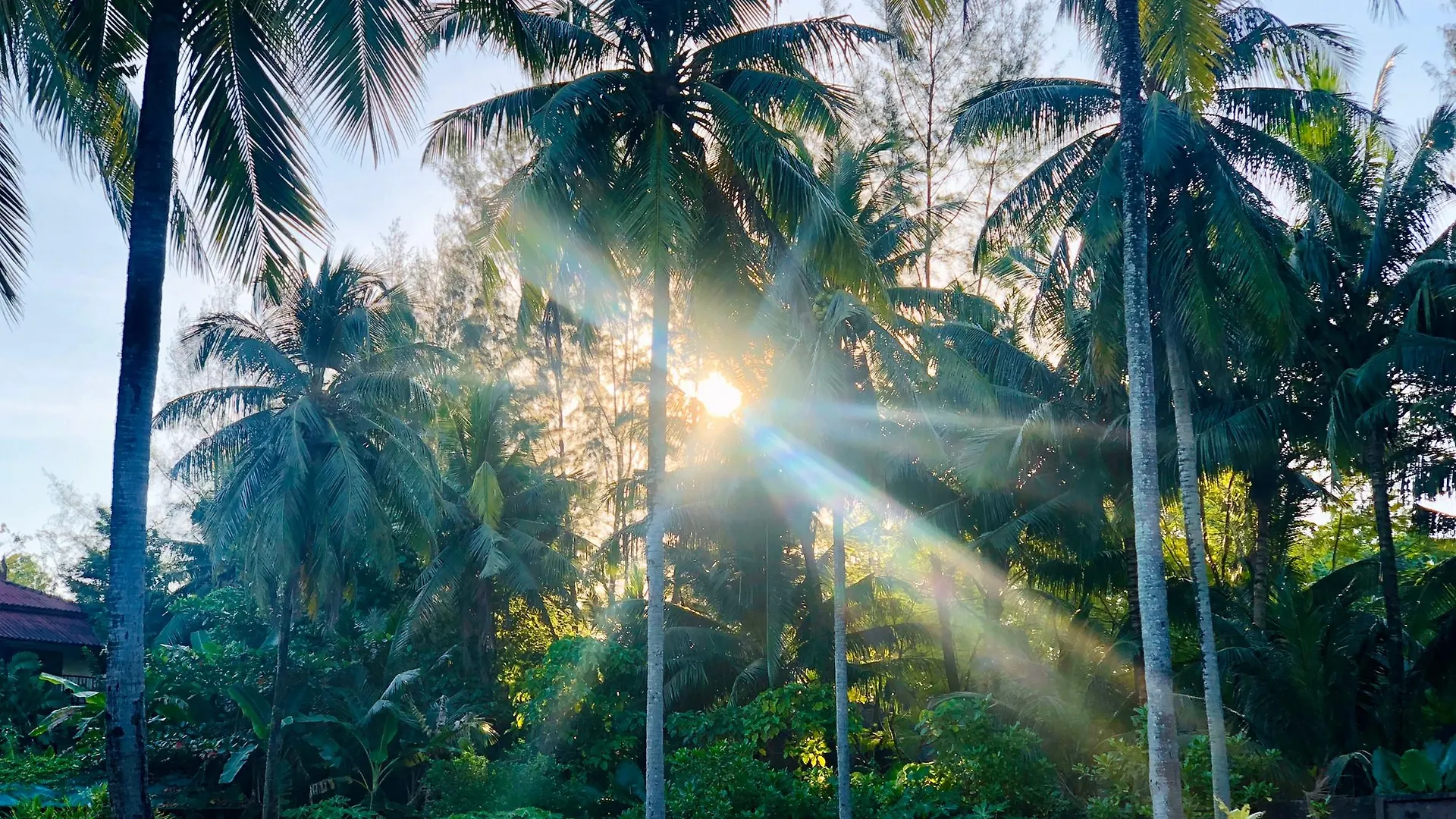 Palm Galleria Resort Khao Lak